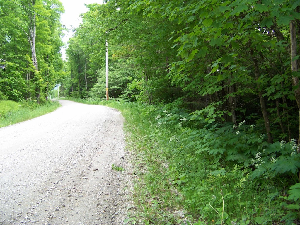 403 Fiske Rd, Rochester, VT 05767