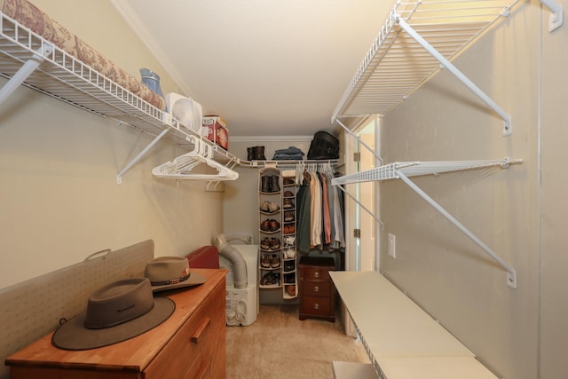 21 Mountain View Dr Unit 21, Franklin, NH 03235 - walk in closet featuring carpet flooring