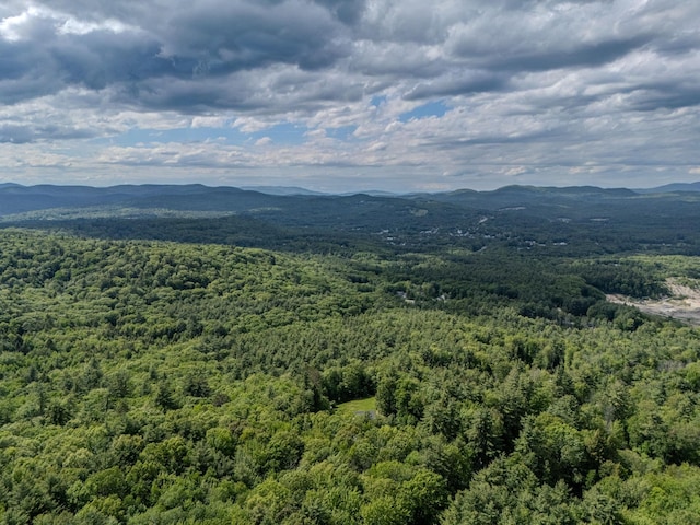 209 Craney Hill Rd, Henniker, NH 03242 - view of mountain background with a heavily wooded area