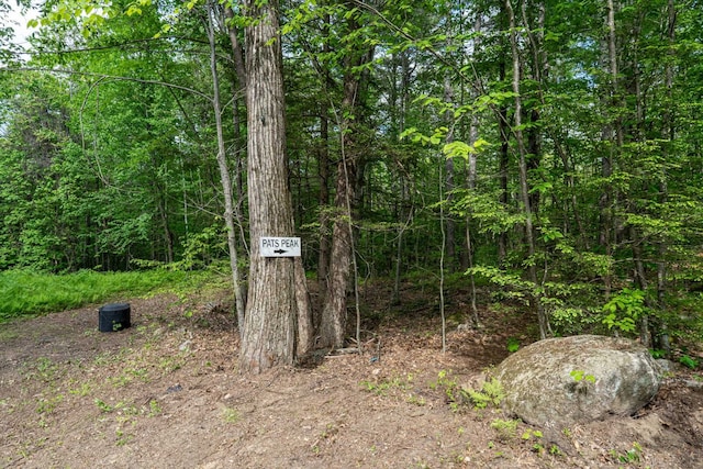 209 Craney Hill Rd, Henniker, NH 03242 - exterior view of a forest