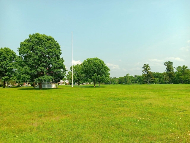 406 Dalton Dr Unit D, Colchester, VT 05446 - view of green lawn