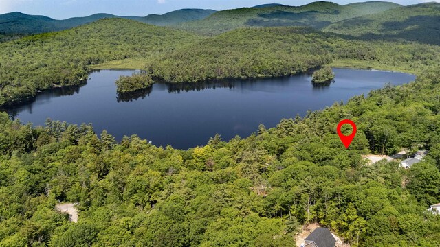 80 Scott Dr, Alton, NH 03810 - drone / aerial view of a forest and a water and mountain view
