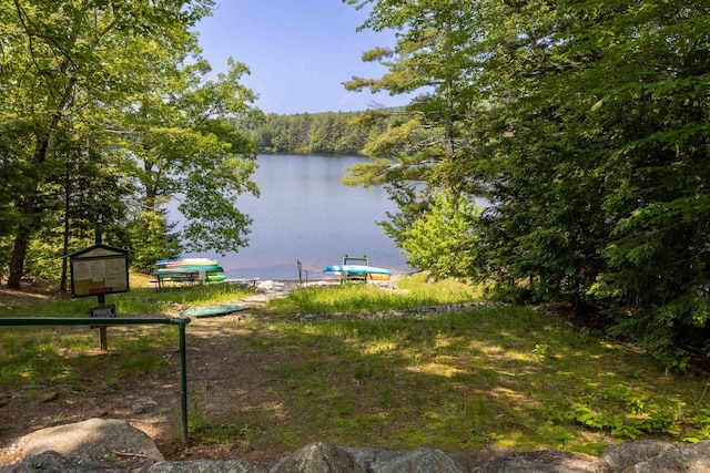 80 Scott Dr, Alton, NH 03810 - water view featuring a forest