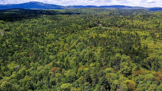 0 Montgomery Rd, Salisbury, NH 03268