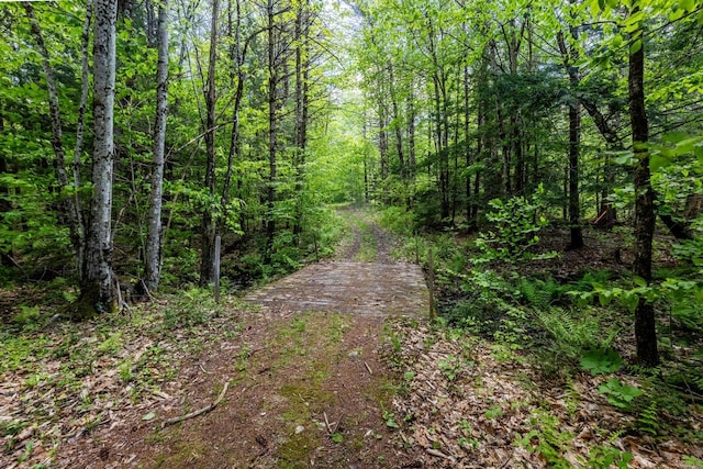 0 Montgomery Rd, Salisbury, NH 03268
