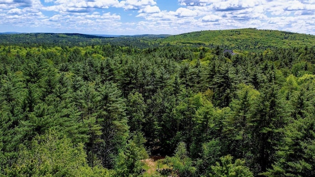 0 Montgomery Rd, Salisbury, NH 03268