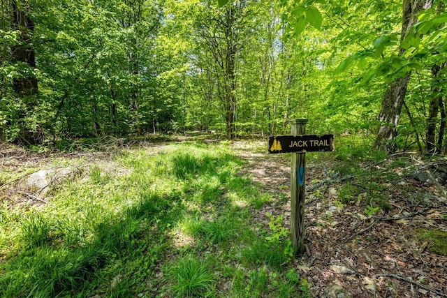 0 Montgomery Rd, Salisbury, NH 03268