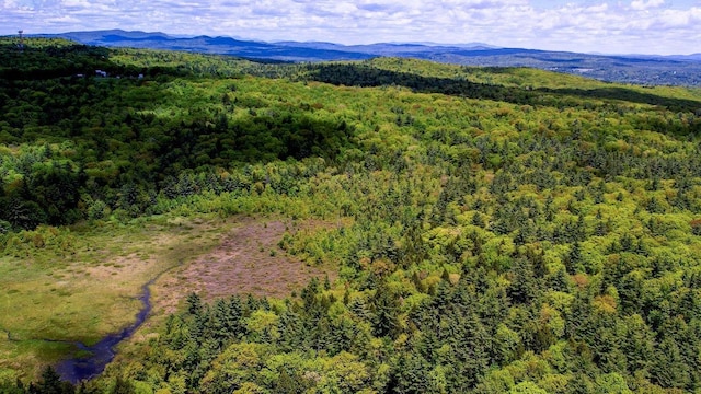 0 Montgomery Rd, Salisbury, NH 03268