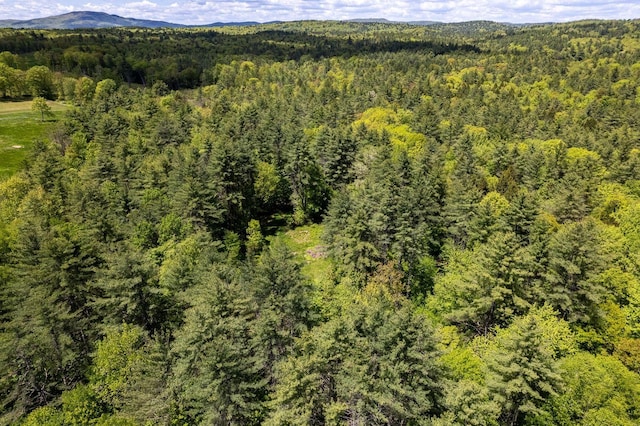 0 Montgomery Rd, Salisbury, NH 03268