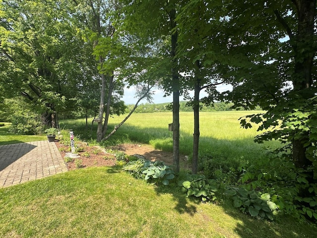60 Skyline Dr, Keene, NH 03431 - view of grassy yard