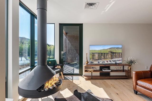 69 Hourglass Dr Unit 205, Stowe, VT 05672 - living room with wood finished floors and a wood stove