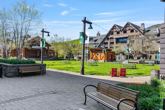 69 Hourglass Dr Unit 205, Stowe, VT 05672 - surrounding community featuring a lawn