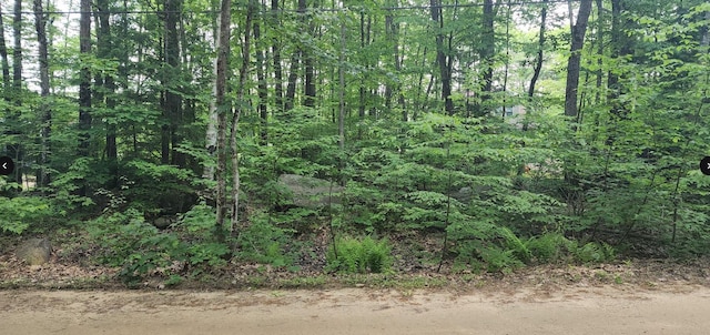 Long Shores Dr, Barrington, NH 03825
