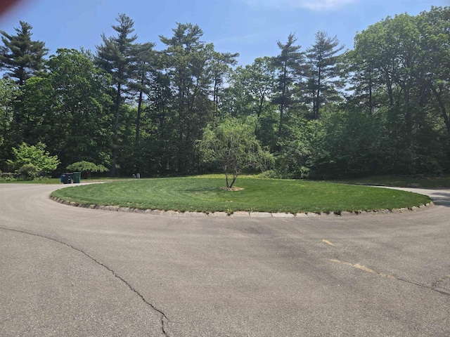 10 Stoneleigh Dr, Derry, NH 03038