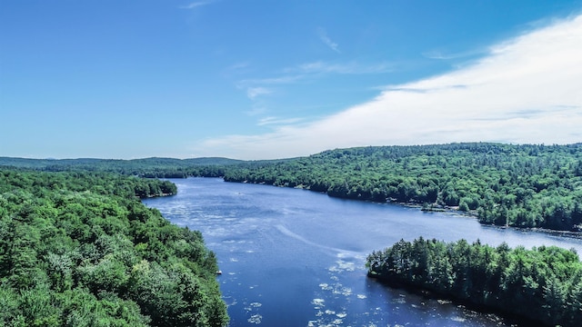 00 Whitney Rd, Stoddard, NH 03464