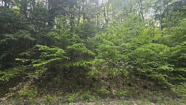 00 Whitney Rd, Stoddard, NH 03464