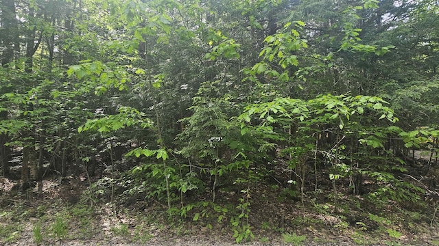 00 Whitney Rd, Stoddard, NH 03464