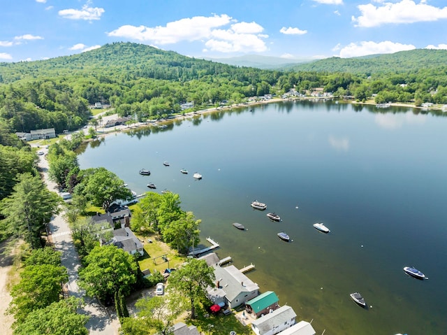 57 Lakeside Rd, Bristol, NH 03222 - drone / aerial view of a forest and a nearby body of water