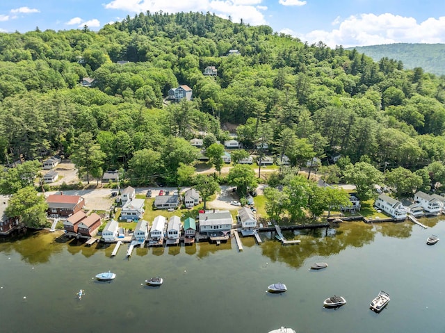 57 Lakeside Rd, Bristol, NH 03222 - aerial view of a heavily wooded area and a nearby body of water