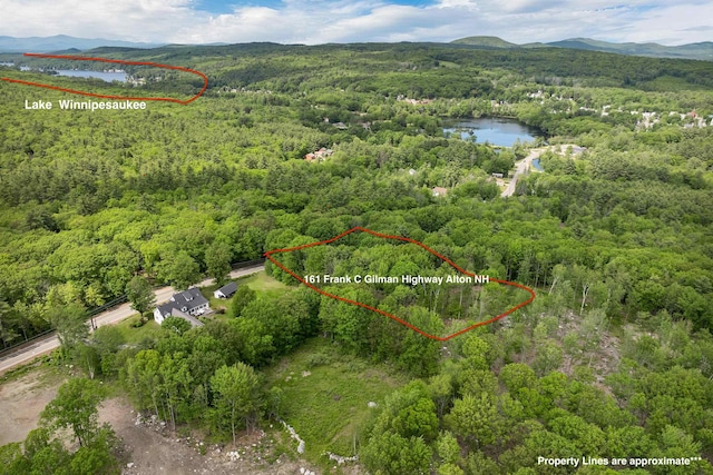 161 Frank C Gilman Hwy, Alton, NH 03809 - aerial overview of property's location with a forest, a water and mountain view, and property boundaries highlighted