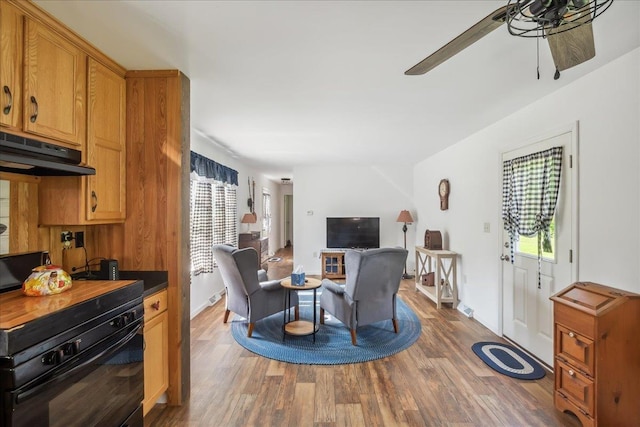 4611 W Berkshire Rd, Enosburg, VT 05450 - living room featuring wood finished floors, healthy amount of natural light, a ceiling fan, and baseboards