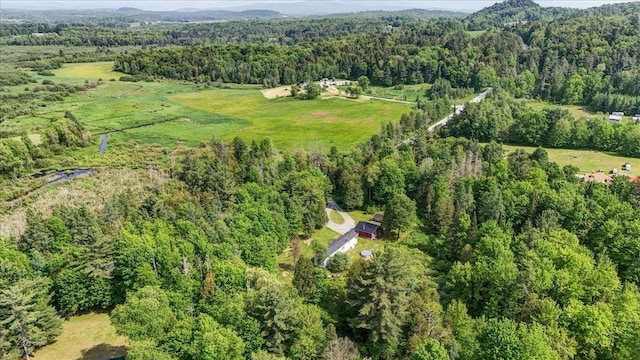 4611 W Berkshire Rd, Enosburg, VT 05450 - view of property location featuring a heavily wooded area