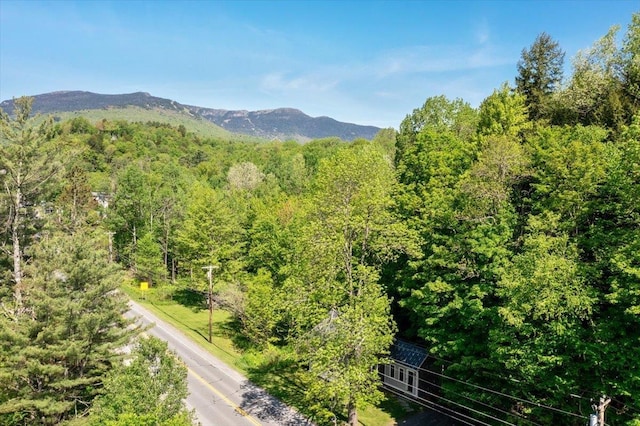 4780 Mountain Rd, Stowe, VT 05672 - view of mountain backdrop featuring a forest