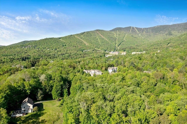 165 Golf Course Rd, Warren, VT 05674 - mountain view featuring a forest