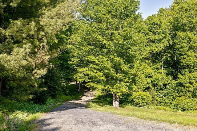 165 Golf Course Rd, Warren, VT 05674 - view of street featuring a view of trees