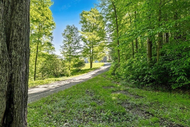 165 Golf Course Rd, Warren, VT 05674 - view of street