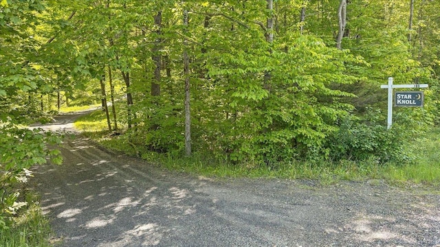 165 Golf Course Rd, Warren, VT 05674 - view of street