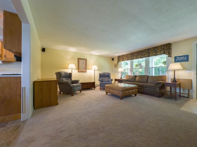 402 E Rd, Cornish, NH 03745 - living room with a textured ceiling and light carpet