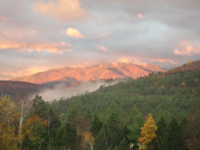 402 E Rd, Cornish, NH 03745 - mountain view with a heavily wooded area