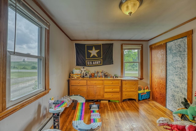 336 N Rd, Lancaster, NH 03584 - game room with ornamental molding and light wood-style floors
