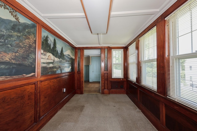 11 Linden St, Somersworth, NH 03878 - unfurnished sunroom featuring carpet, ornamental molding, a decorative wall, and wood walls