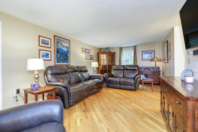 50 Kienia Rd, Hudson, NH 03051 - living area featuring light wood-style flooring and a textured ceiling