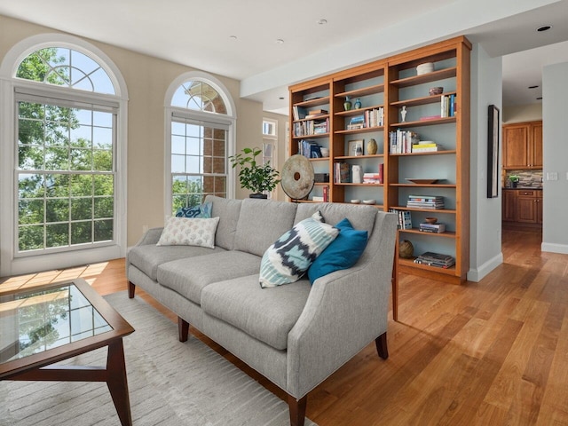 200 Lake St Unit 16, Burlington, VT 05401 - living room with light wood finished floors and baseboards