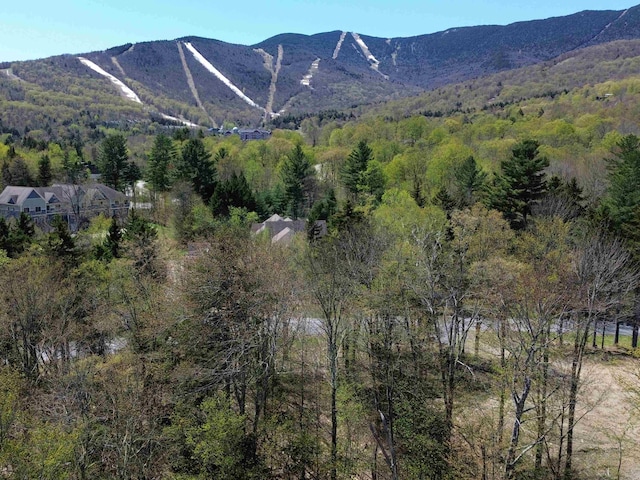 71 Golf Course Rd, Warren, VT 05674