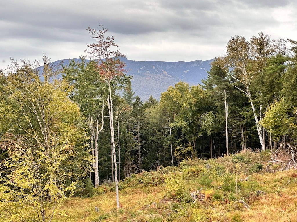 2364 Mountain Rd, Stowe, VT 05672