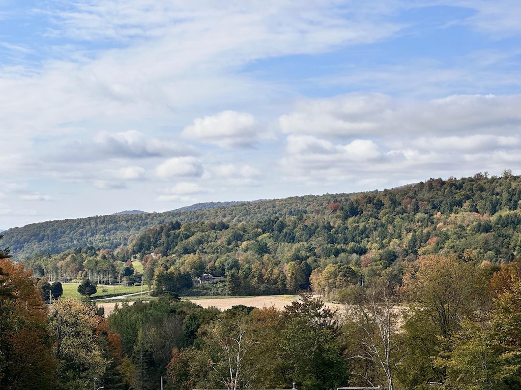 2364 Mountain Rd, Stowe, VT 05672