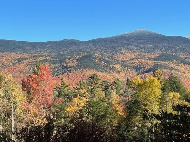 105 Valley View Rd, Easton, NH 03580 - view of mountain backdrop featuring a forest