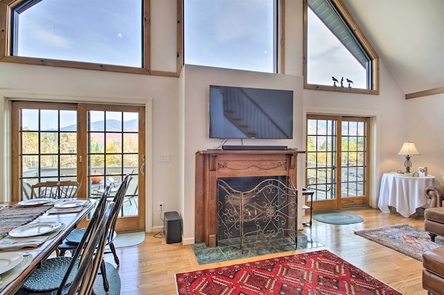 105 Valley View Rd, Easton, NH 03580 - living room featuring high vaulted ceiling, wood finished floors, and a fireplace with flush hearth