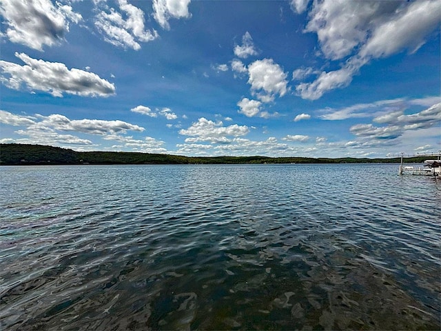 422/431 Little Rutland Rd, Castleton, VT 05735 - water view