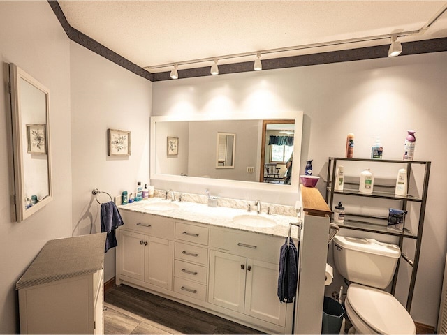115 Meadow Run Rd, Williston, VT 05495 - full bathroom with rail lighting, double vanity, wood finished floors, and toilet