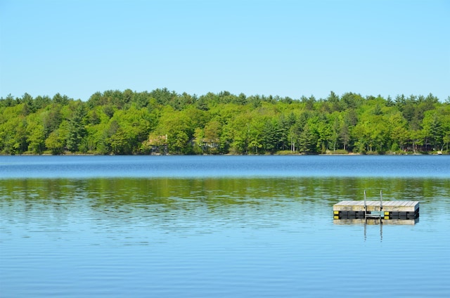 14 Little Loop Rd, Madison, NH 03849