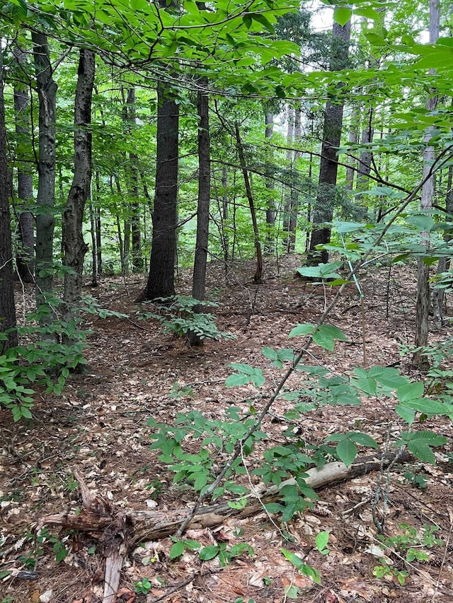 14 Little Loop Rd, Madison, NH 03849