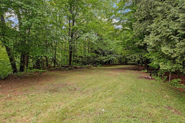 view of green lawn with a forest view