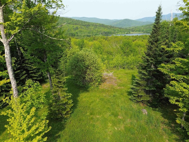48 Alberts Ln, Warren, VT 05674