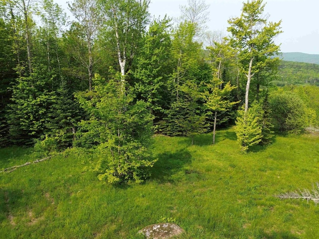 48 Alberts Ln, Warren, VT 05674