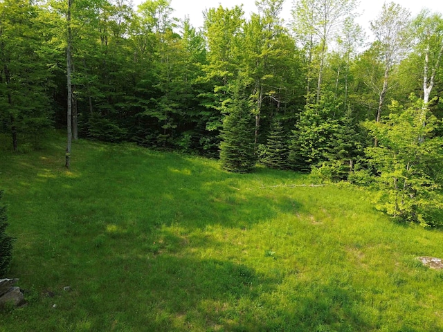48 Alberts Ln, Warren, VT 05674